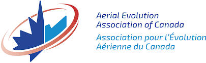 Aerial Evolution
